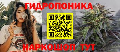 spice Тула